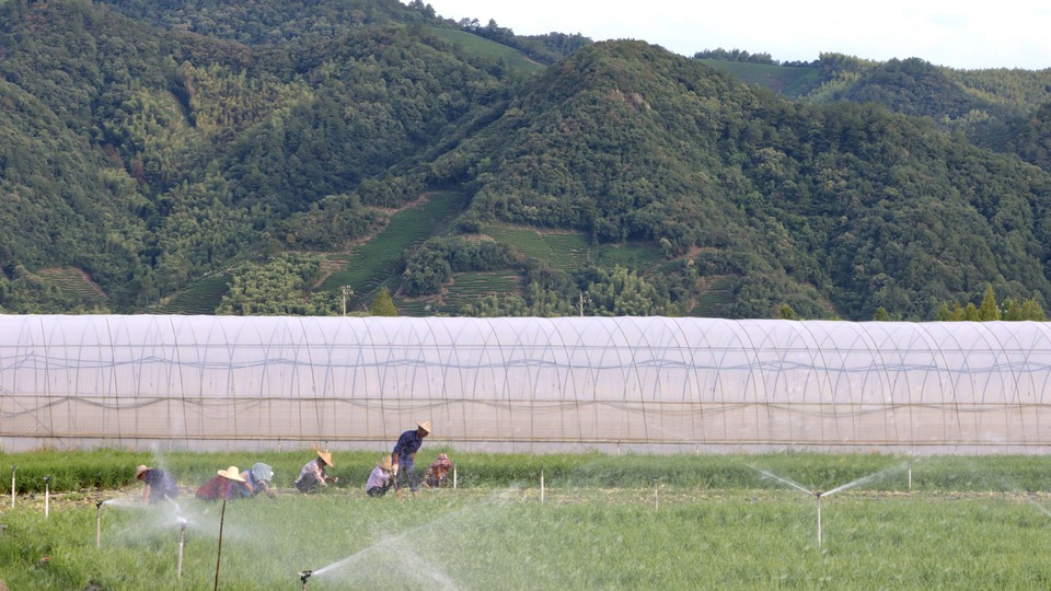 Farmers with a white tunnel behind them and mountains