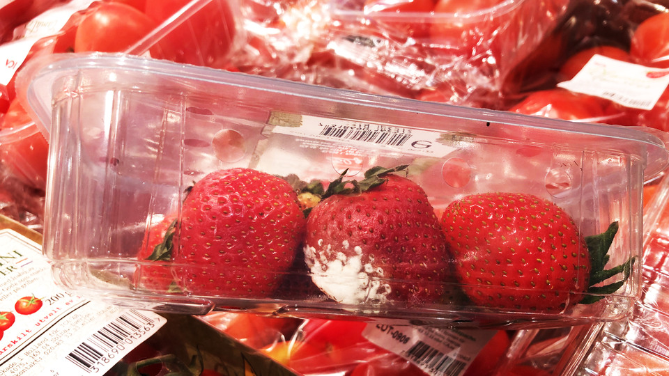 En plastförpackning med jordgubbar varav en av jordgubbarna är dålig. 