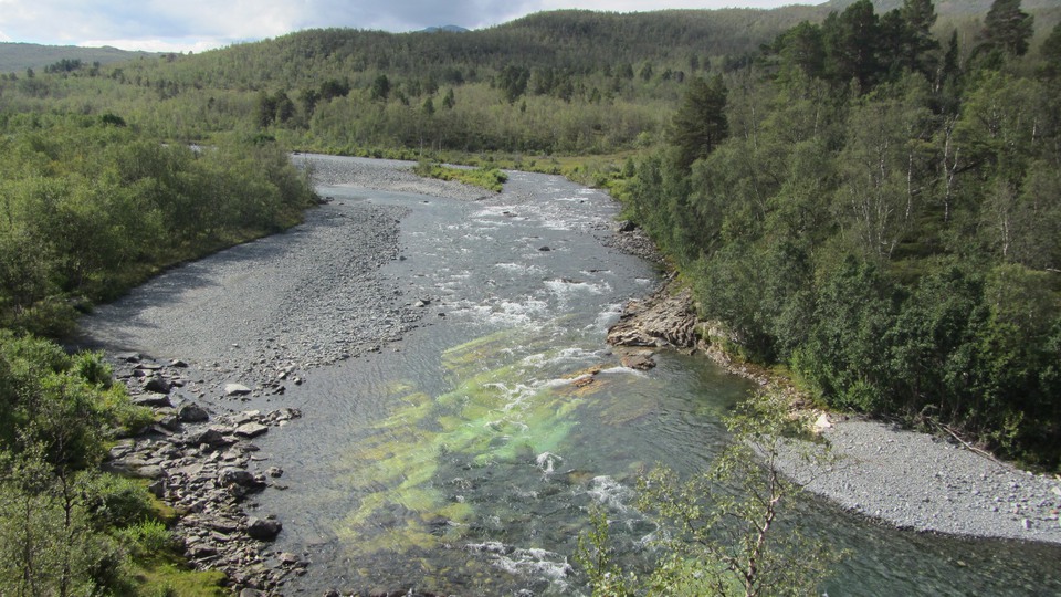 En flod som går igenom skogsbeklädd mark. 